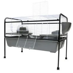 New Little Ones - Rabbit Run with Stand