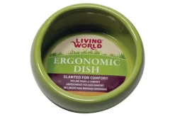 Fashion Pet Pacific Misc. Living World - Ceramic Pet Dish (Green) (420ml)