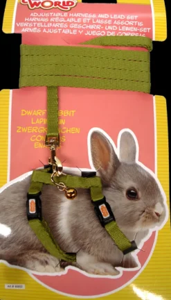 Hot Pet Pacific Misc. Living World - Dwarf Rabbit Harness & Lead Set (Green)