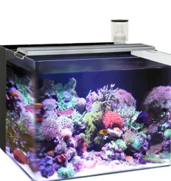 Sale Pet Pacific Misc. Ocean Free - Nano Marine Aquarium (96L)