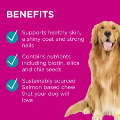 Outlet Blackmores PAW - Coat, Skin and Nails Multivitamins for Dogs (60pk)