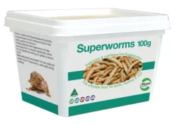Outlet Pisces Live Pisces - Live Superworms (100g)