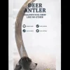 Hot Showmaster Platinum Ranch - Deer Antler (Large)