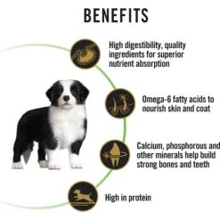 Online Proplan - Dry PRO PLAN Adult Medium Breed Chicken Dry Dog Food (3kg)