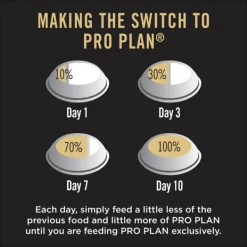 Online Proplan - Dry PRO PLAN Adult Sensitive Skin & Stomach Medium & Large Breed Dry Dog Food (12kg)