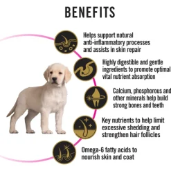 Online Proplan - Dry PRO PLAN Puppy Sensitive Skin & Stomach Dry Dog Food (3kg)