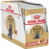 Hot Royal Canin - Wet Royal Canin - British Shorthair Breed Gravy Adult Cat Wet Food (85g x 12pk)