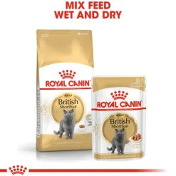 Best Royal Canin - Dry Royal Canin - British Shorthair Breed Adult Cat Dry Food (4kg)