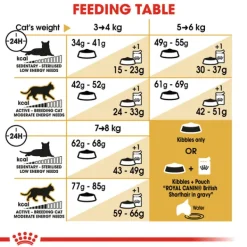 Best Royal Canin - Dry Royal Canin - British Shorthair Breed Adult Cat Dry Food (4kg)