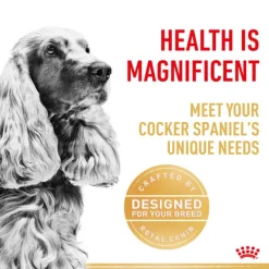 New Royal Canin - Dry Royal Canin - Cocker Spaniel Breed Adult Dog Dry Food (3kg)