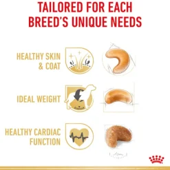 New Royal Canin - Dry Royal Canin - Cocker Spaniel Breed Adult Dog Dry Food (3kg)