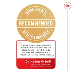 Discount Royal Canin - Wet Royal Canin - Digestive Care Adult Dog Wet Food (85g x 12pk)