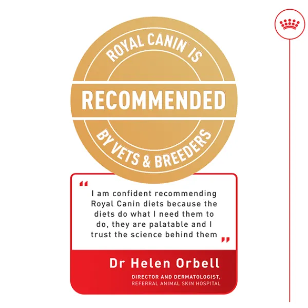 Discount Royal Canin - Wet Royal Canin - Digestive Care Adult Dog Wet Food (85g x 12pk)