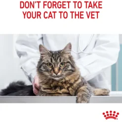 Best Royal Canin - Dry Royal Canin - Digestive Care Adult Cat Dry Food (4kg)