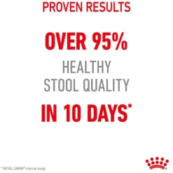 Best Royal Canin - Dry Royal Canin - Digestive Care Adult Cat Dry Food (4kg)