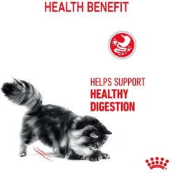 Best Royal Canin - Dry Royal Canin - Digestive Care Adult Cat Dry Food (4kg)