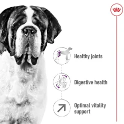 Hot Royal Canin - Dry Royal Canin - Giant Adult Dog Dry Food (15kg)