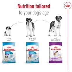 Hot Royal Canin - Dry Royal Canin - Giant Adult Dog Dry Food (15kg)