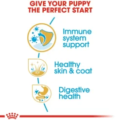 Hot Royal Canin - Dry Royal Canin - Golden Retriever Breed Puppy Dog Dry Food (12kg)