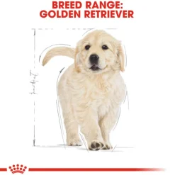 Hot Royal Canin - Dry Royal Canin - Golden Retriever Breed Puppy Dog Dry Food (12kg)
