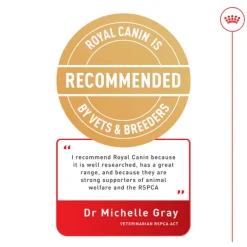 Best Royal Canin - Dry Royal Canin - Hair & Skin Care Adult Cat Dry Food (2kg)