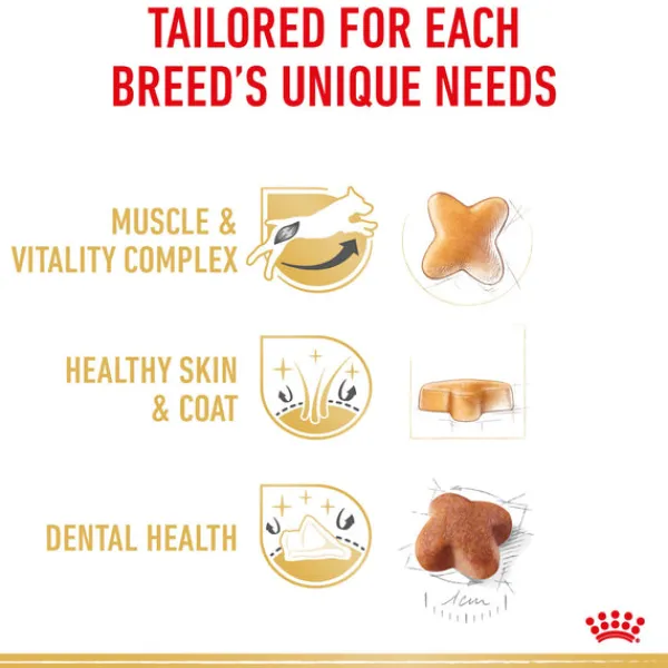 Discount Royal Canin - Dry Royal Canin - Jack Russell Terrier Breed Adult Dog Dry Food (3kg)