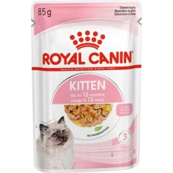 Sale Royal Canin - Wet Royal Canin - Kitten in Jelly Cat Wet Food (85g x 12pk)