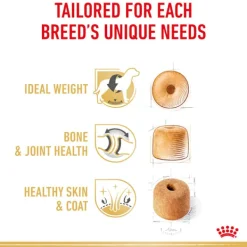 Outlet Royal Canin - Dry Royal Canin - Labrador Breed Adult Dog Dry Food (12kg)
