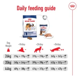 Online Royal Canin - Dry Royal Canin - Maxi Adult Dog Dry Food (15kg)