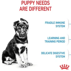 Best Royal Canin - Dry Royal Canin - Maxi Puppy Dog Dry Food (4kg)