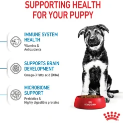 Best Royal Canin - Dry Royal Canin - Maxi Puppy Dog Dry Food (4kg)