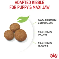 Best Royal Canin - Dry Royal Canin - Maxi Puppy Dog Dry Food (4kg)