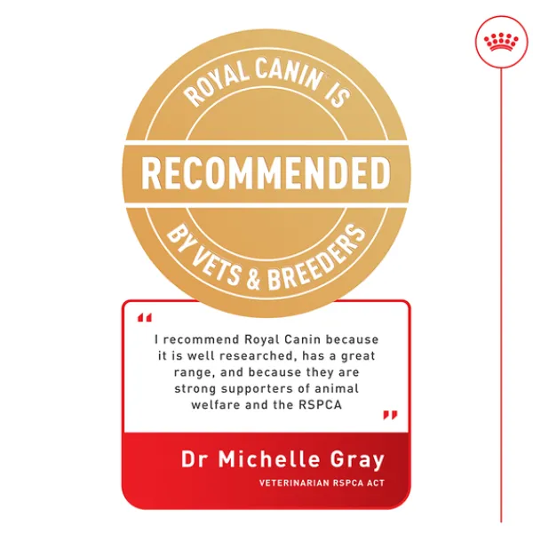 Hot Royal Canin - Dry Royal Canin - Medium Adult Dental Care Dog Dry Food (3kg)