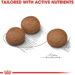 New Royal Canin - Dry Royal Canin - Medium Adult Digestive Care Dog Dry Food (3kg)