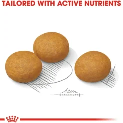 Outlet Royal Canin - Dry Royal Canin - Mini Adult Dermacomfort Dog Dry Food (3kg)