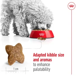 Sale Royal Canin - Dry Royal Canin - Mini Adult Dog Dry Food (2kg)