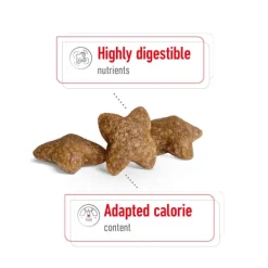 Sale Royal Canin - Dry Royal Canin - Mini Adult Dog Dry Food (2kg)