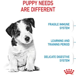 Outlet Royal Canin - Dry Royal Canin - Mini Puppy Dog Dry Food (4kg)