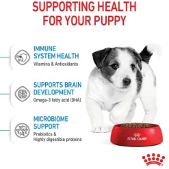 Outlet Royal Canin - Dry Royal Canin - Mini Puppy Dog Dry Food (4kg)