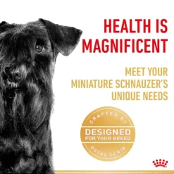 Sale Royal Canin - Dry Royal Canin - Miniature Schnauzer Breed Adult Dog Dry Food (3kg)