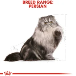Sale Royal Canin - Dry Royal Canin - Persian Breed Adult Cat Dry Food (10kg)