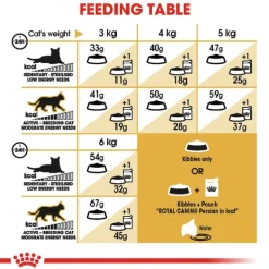 Sale Royal Canin - Dry Royal Canin - Persian Breed Adult Cat Dry Food (10kg)