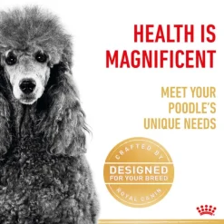 Fashion Royal Canin - Dry Royal Canin - Poodle Breed Adult Dog Dry Food (1.5kg)