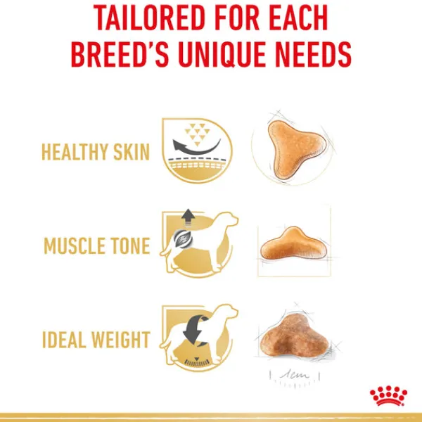 Online Royal Canin - Dry Royal Canin - Pug Breed Adult Dog Dry Food (3kg)