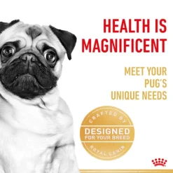 Online Royal Canin - Dry Royal Canin - Pug Breed Adult Dog Dry Food (3kg)