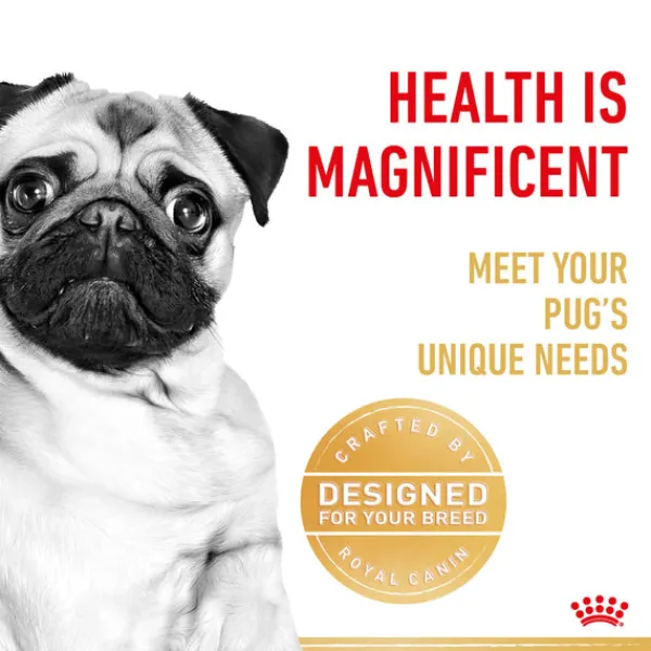 Online Royal Canin - Dry Royal Canin - Pug Breed Adult Dog Dry Food (3kg)