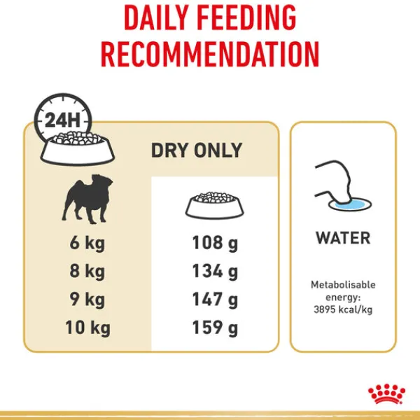 Online Royal Canin - Dry Royal Canin - Pug Breed Adult Dog Dry Food (3kg)