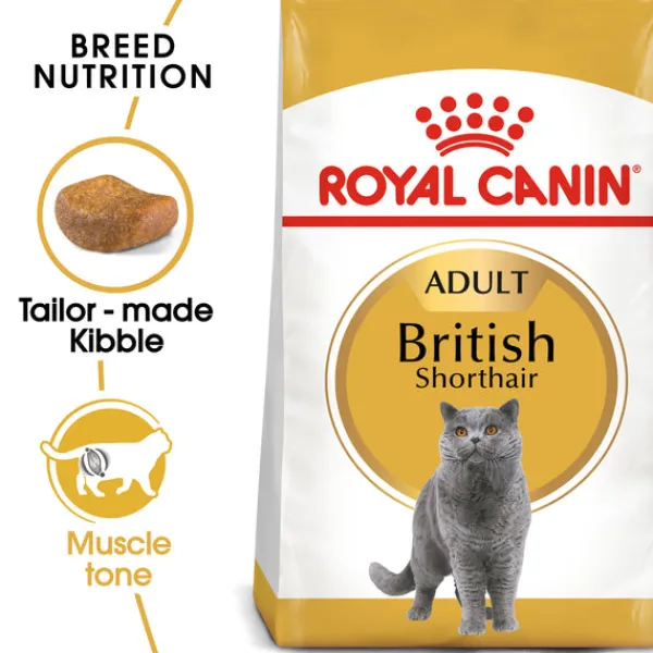 Online Royal Canin - Dry Royal Canin - Ragdoll Breed Adult Cat Dry Food (10kg)