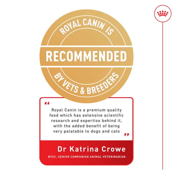 Hot Royal Canin - Dry Royal Canin - Ragdoll Breed Adult Cat Dry Food (2kg)