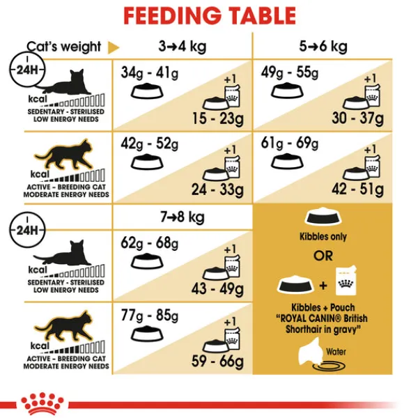 Online Royal Canin - Dry Royal Canin - Ragdoll Breed Adult Cat Dry Food (10kg)